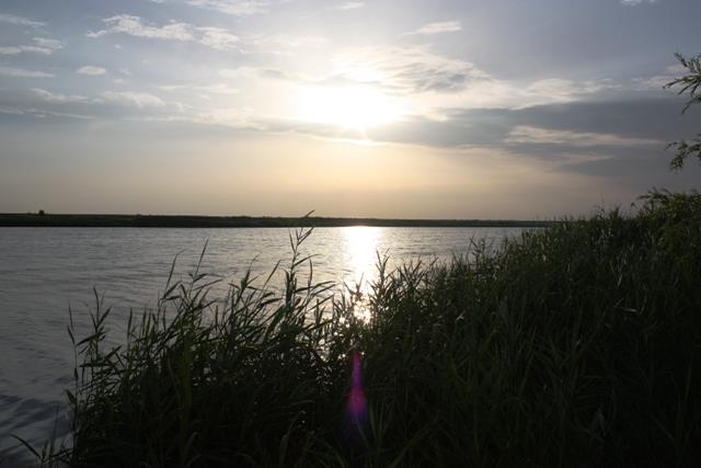 Doar ... NATURA - 4 - img0435.JPG